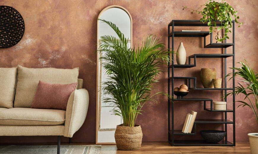 A large palm plant in a modern, styled living room.