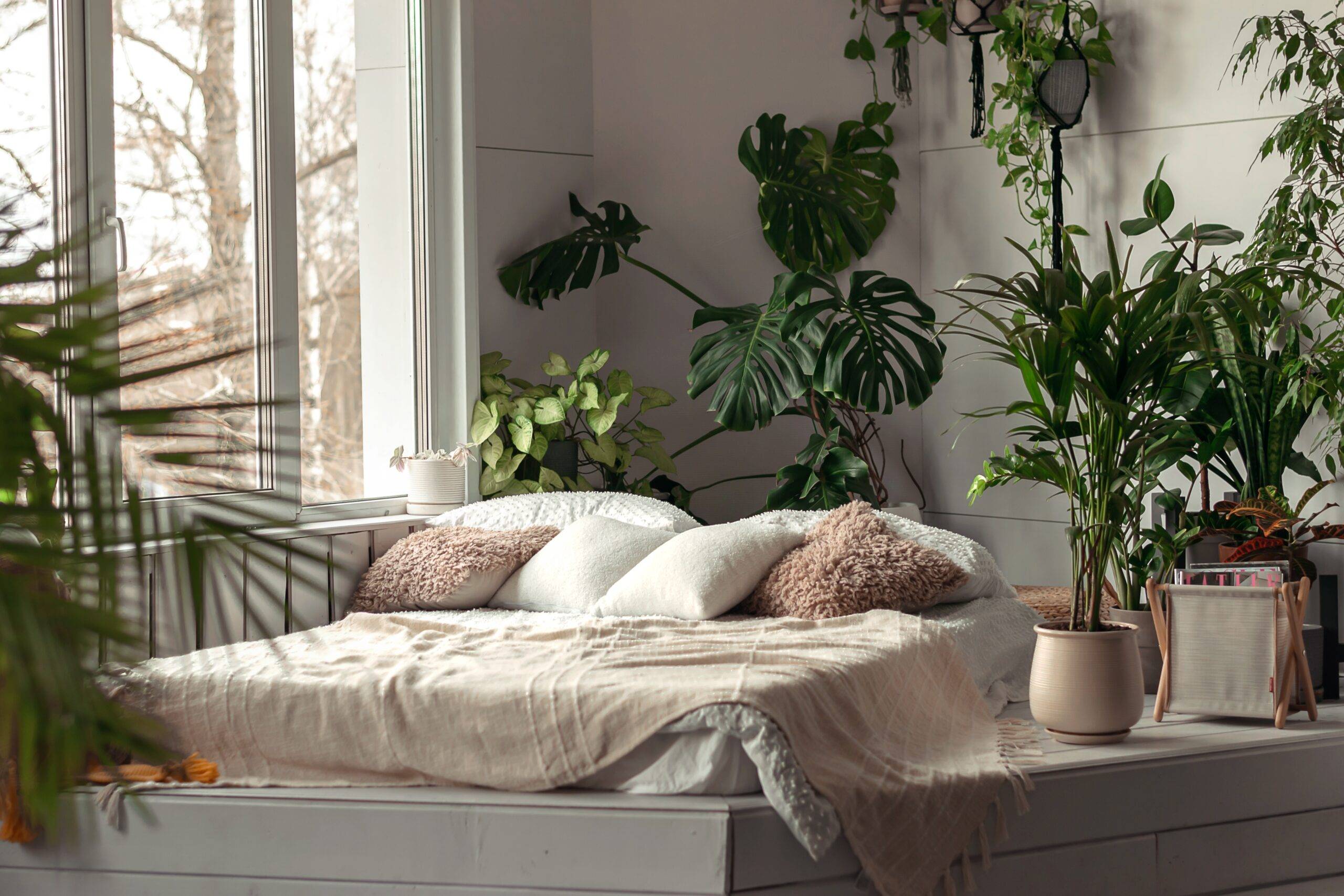 A bedroom filled with various plants, largely around the bed which is near a window.