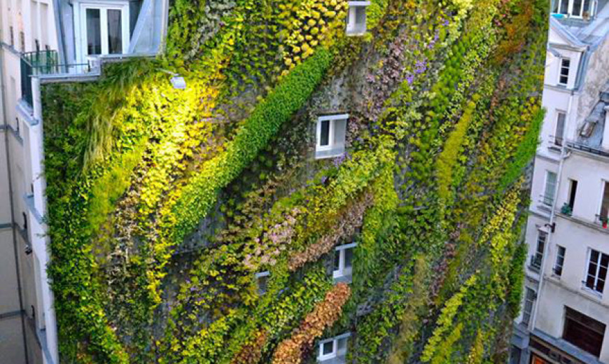 Revealing A Stunning Living Wall: Patrick Blanc's Work for Paris Design Week